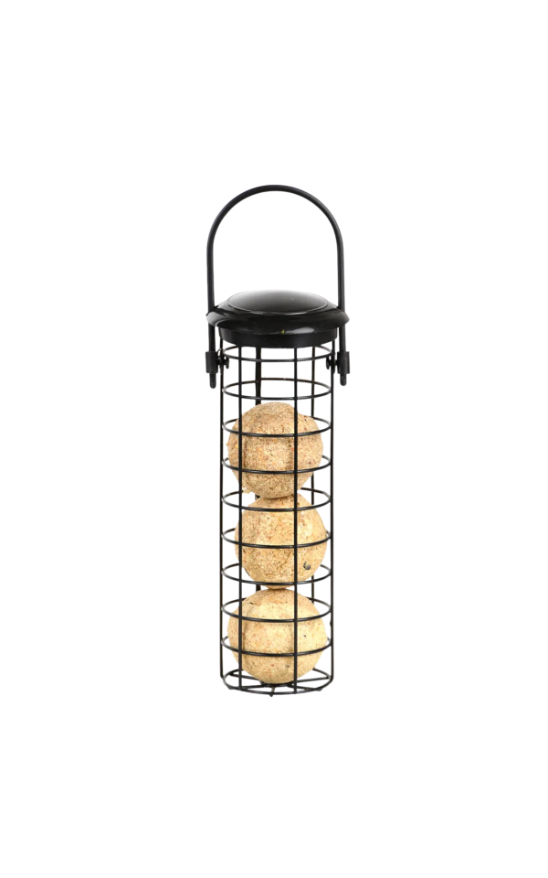 Dispensador comida pajaro