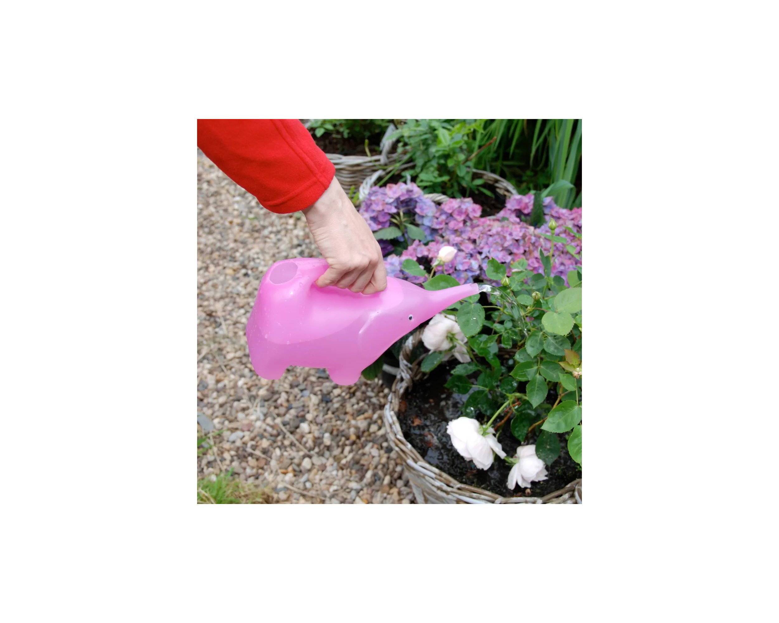 Regadora infantil Regadora infantil